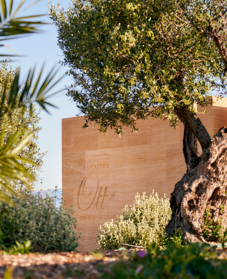 domaines-ott-chateau-de-selle-nature-de-provence