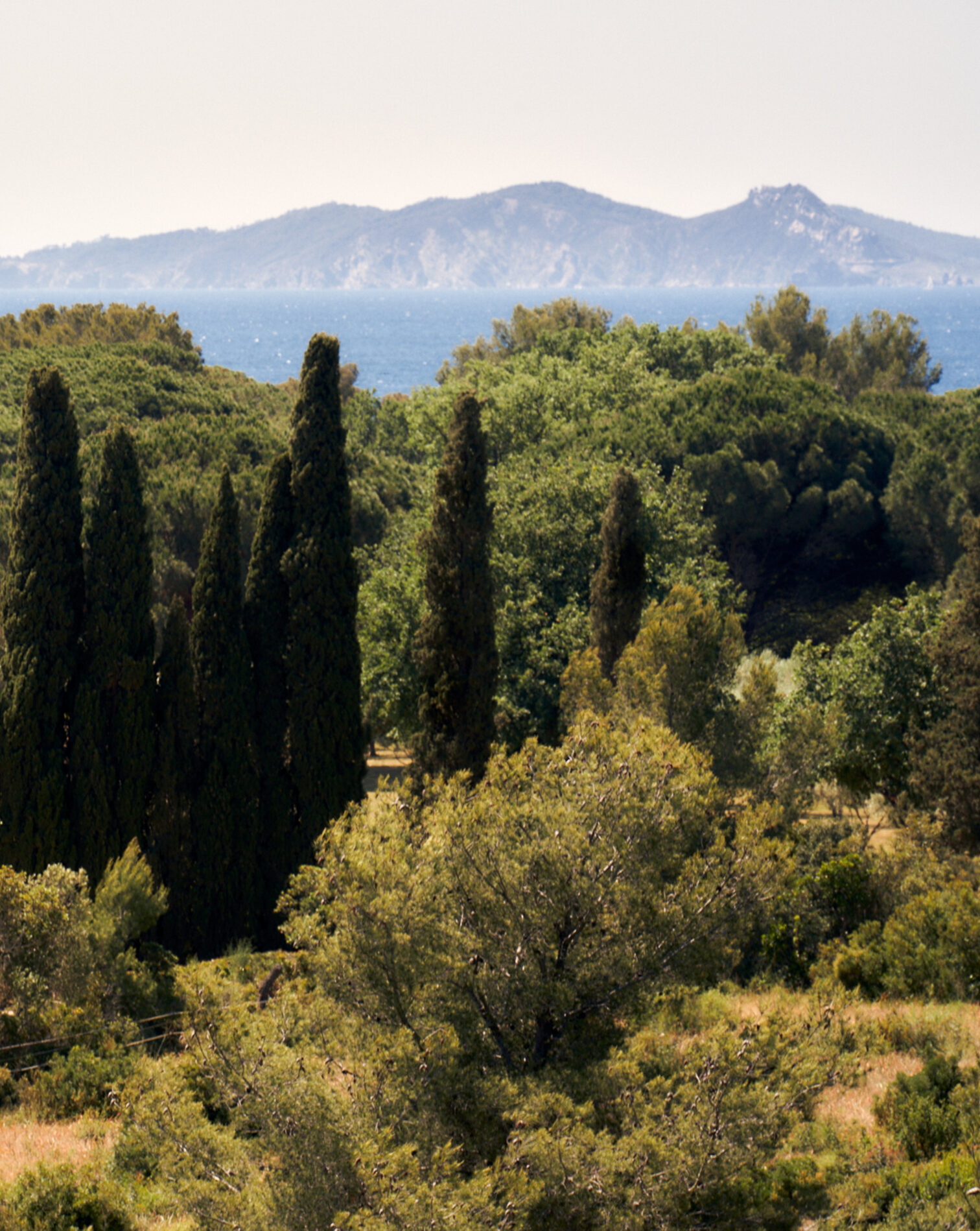la-montagne-la-mer-et-la-verdure-provencale-au-sein-du-clos-mireille