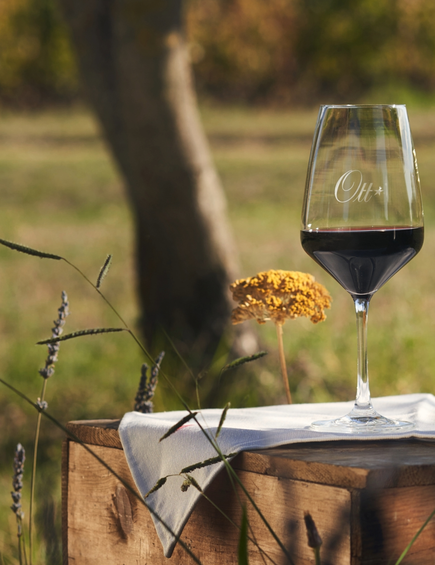 un-verre-de-chateau-de-selle-rouge-sur-une-caisse-dans-la-nature-provencale