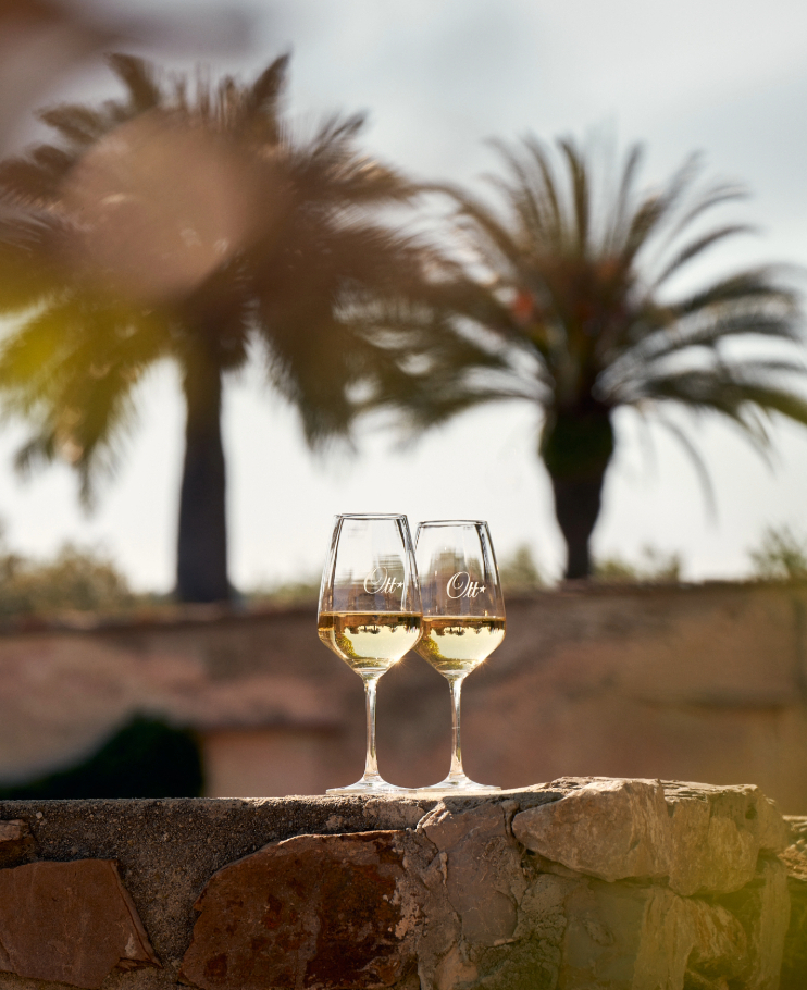 deux-verres-de-vin-blanc-de-provence-pres-des-palmiers