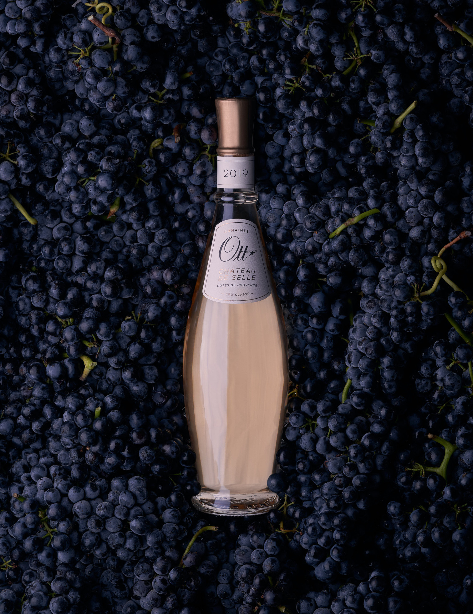 une-bouteille-de-chateau-de-selle-rose-plongee-au-milieu-de-raisins