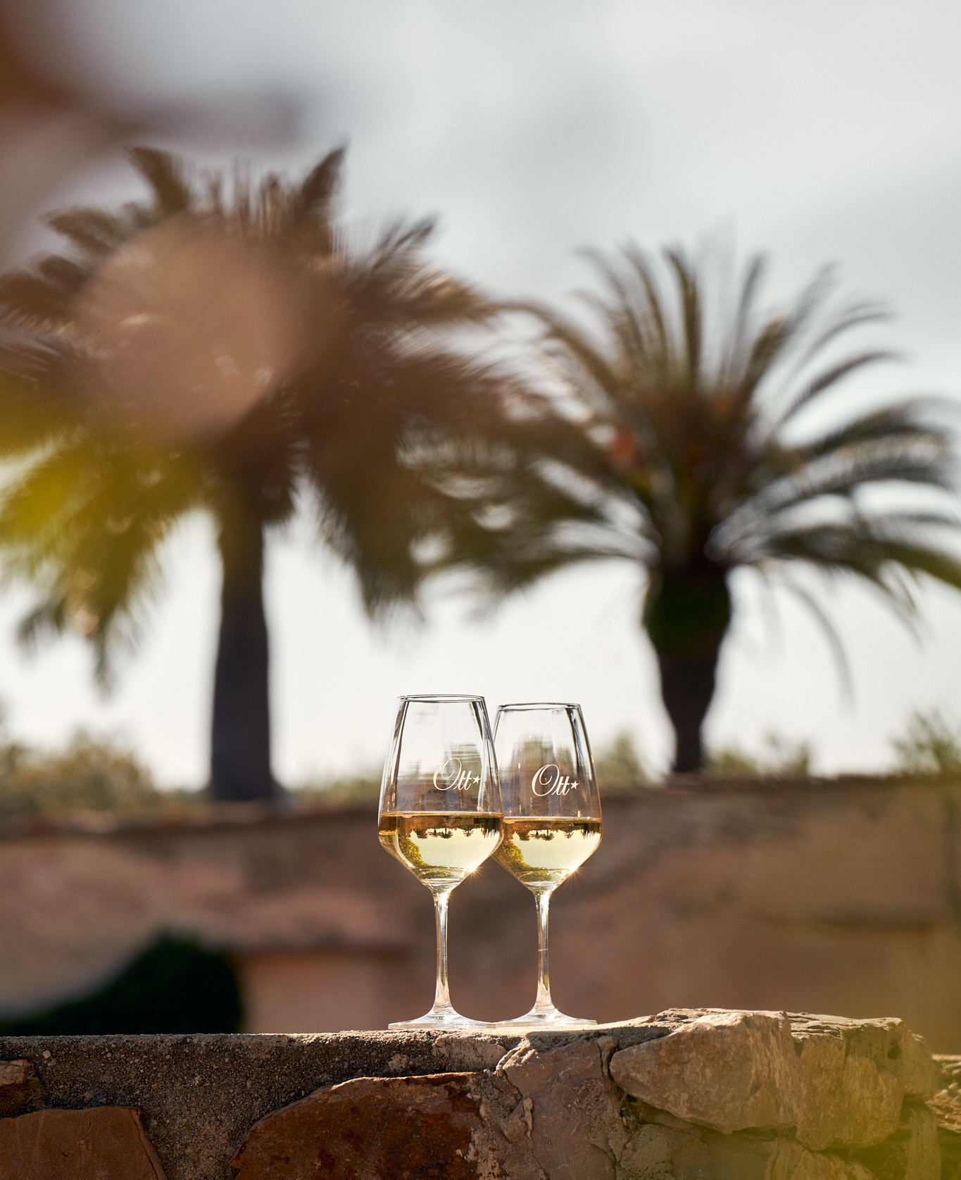 deux-verres-de-vin-blanc-de-provence-pres-des-palmiers
