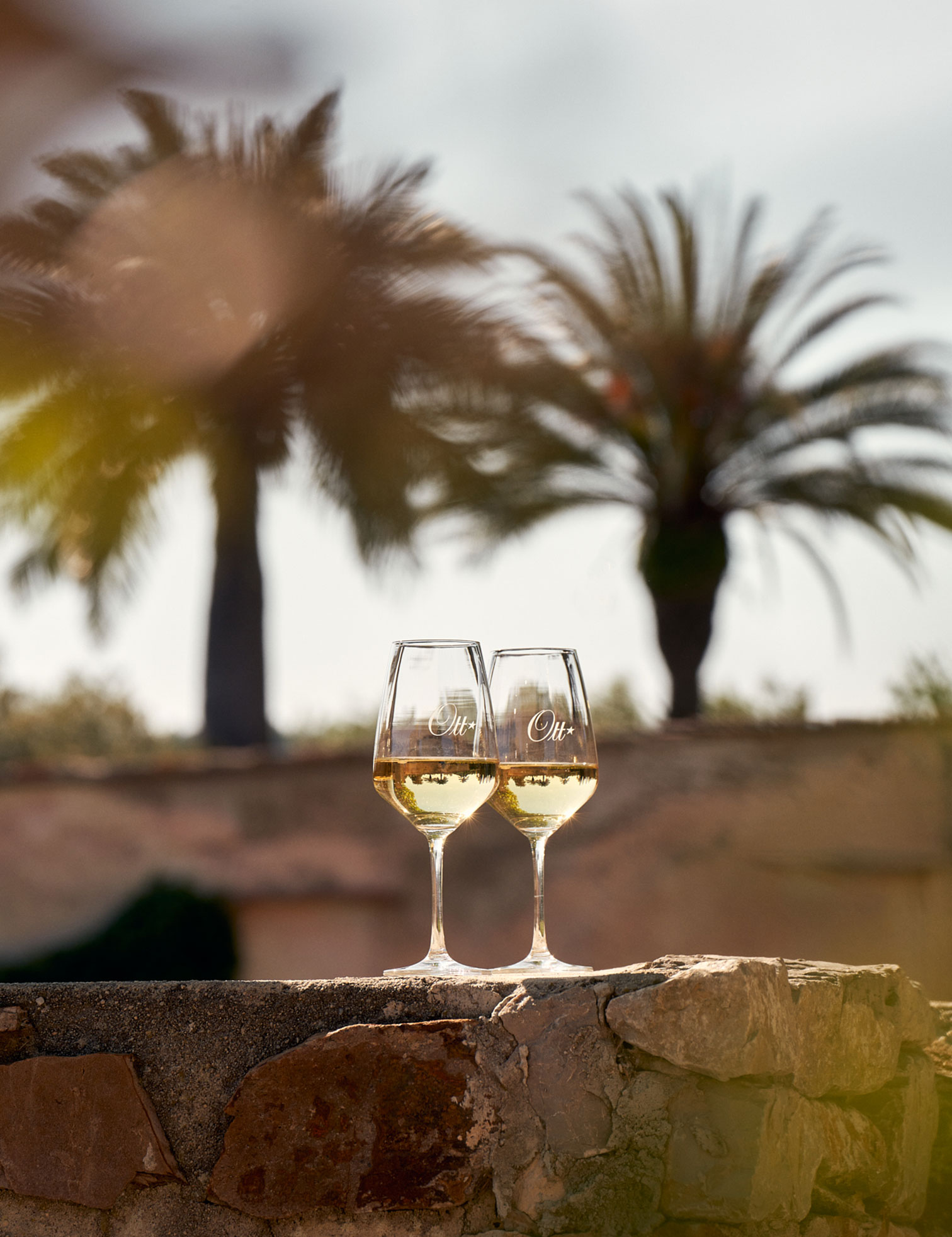 two-glasses-of-white-wine-of-provence-with-palm-trees